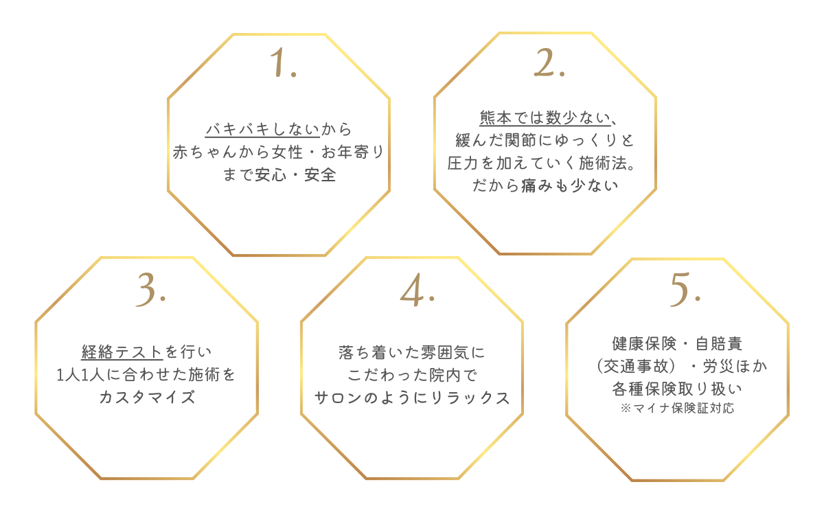 5つの特徴の図解